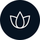 icon-p-spa